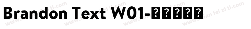 Brandon Text W01字体转换